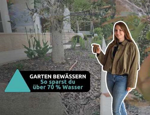 Garten richtig bewässern